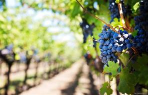 properties-photo-smale