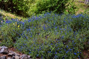 properties-photo-smale