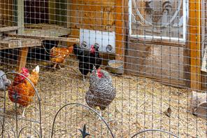 Property Photo 36