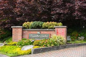 Property Photo 52