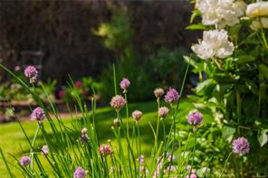 properties-photo-smale