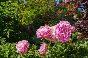 properties-photo-smale