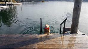 properties-photo-smale