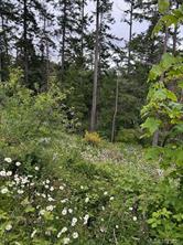 properties-photo-smale