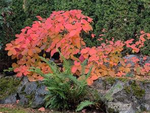 properties-photo-smale