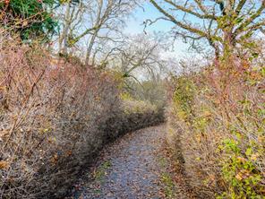 properties-photo-smale