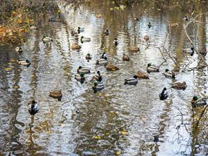 properties-photo-smale