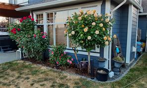 properties-photo-smale