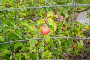 properties-photo-smale