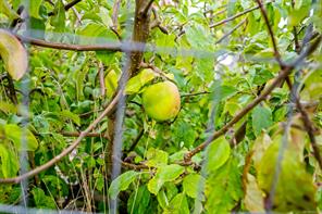 properties-photo-smale