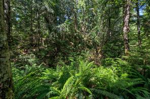 properties-photo-smale