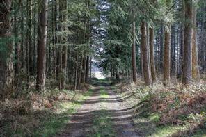 properties-photo-smale