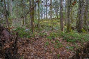 properties-photo-smale