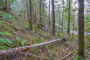 properties-photo-smale