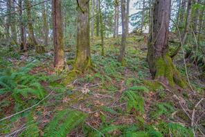 properties-photo-smale