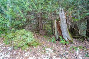 properties-photo-smale