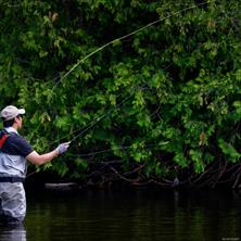 properties-photo-smale