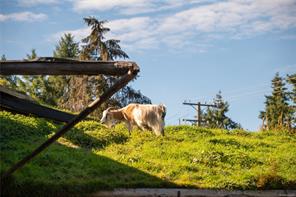 properties-photo-smale