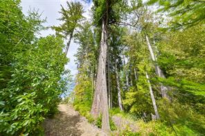 properties-photo-smale