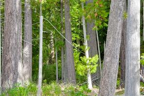 properties-photo-smale