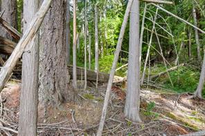 properties-photo-smale