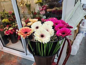 properties-photo-smale