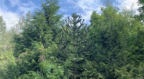 properties-photo-smale