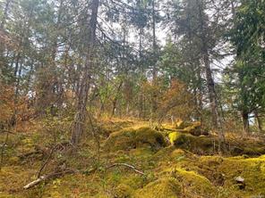 properties-photo-smale