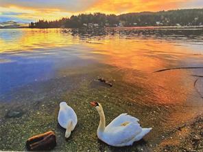 properties-photo-smale