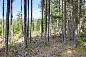 1098 Fitzgerald Rd — listing photo 49 of 58