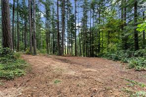 6101 Castlerock Rd — listing photo 60 of 74