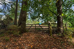 6101 Castlerock Rd — listing photo 62 of 74