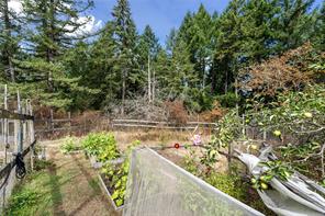 6101 Castlerock Rd — listing photo 66 of 74