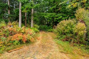 652 Fox Rd — listing photo 52 of 99