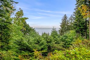 652 Fox Rd — listing photo 80 of 99