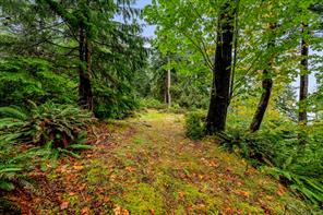 652 Fox Rd — listing photo 81 of 99