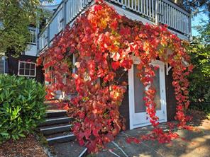 3870 Rowland Ave — listing photo 47 of 54