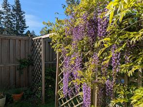 3870 Rowland Ave — listing photo 52 of 54