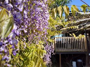 3870 Rowland Ave — listing photo 53 of 54