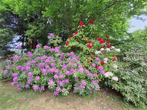 Photo 85