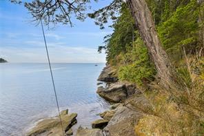 707 Wilks Rd — listing photo 33 of 56