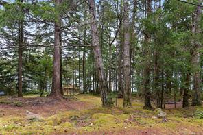 707 Wilks Rd — listing photo 52 of 56