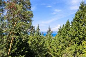 945 Little Mountain Rd — listing photo 28 of 61