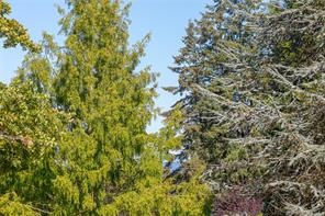 11196 North Watts Rd — listing photo 22 of 59