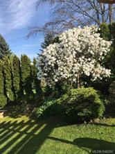 421 Walker Ave — listing photo 18 of 80
