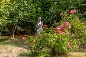 3707 Rope Rd — listing photo 46 of 66