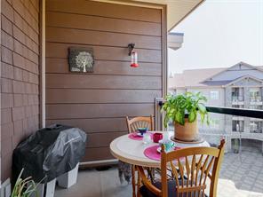 413-1325 Bear Mountain Pkwy — listing photo 21 of 27
