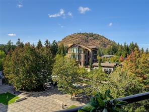 413-1325 Bear Mountain Pkwy — listing photo 22 of 27