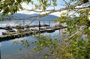 7284 Lakefront Dr — listing photo 53 of 55