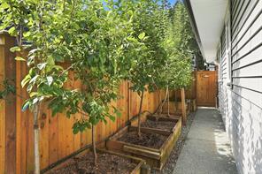 3011 Catalina Way — listing photo 28 of 61